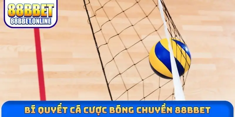 Bí quyết cá cược bóng chuyền 88bbet