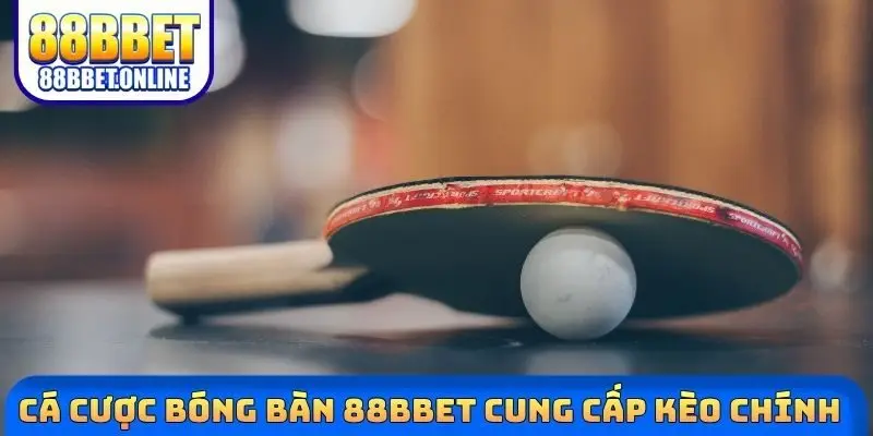 Cá cược bóng bàn 88bbet cung cấp kèo chính
