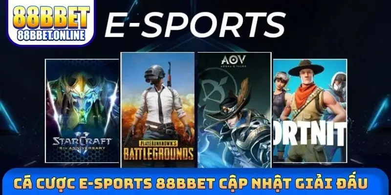 Cá cược e-sports 88bbet cập nhật giải đấu