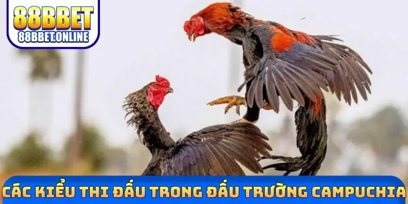 Các kiểu thi đấu trong đấu trường Campuchia