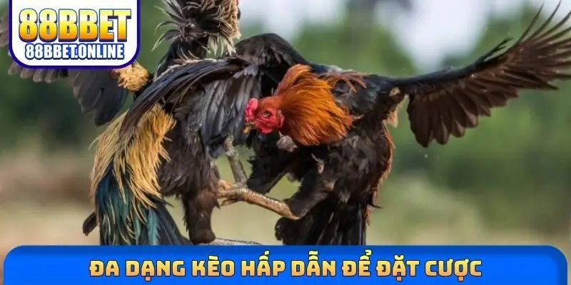 Đa dạng kèo hấp dẫn để đặt cược