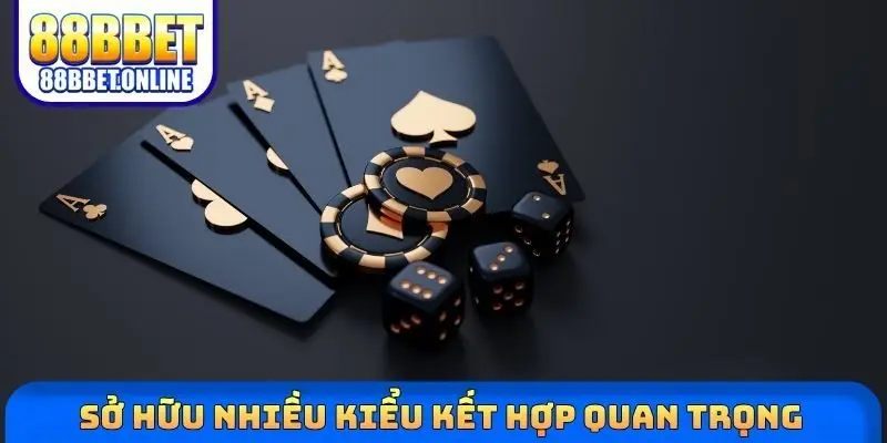Sở hữu nhiều kiểu kết hợp quan trọng